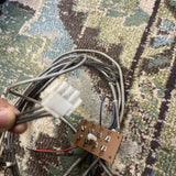 45500824