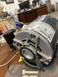 Marathon H10B1A Loren Cook OEM replacement belt drive 1/2hp motor RVM48S17D1216J