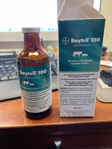 Bayer Baytril 100 Antimicrobial for Cattle and Swine 100mg/mL Injectable Solution (Expiration Date Feb 2023)