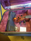 BRAND NEW EASTMAN STRINGS LARSEN VIOLA AA545B, VA545BST, ANNO 2020 WITH BOWS