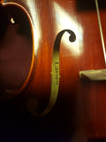 Nuovo EASTMAN STRINGS LARSEN Viola Aa545b, Va545bst, ANNO 2020 Con Fiocchi