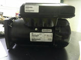 NEW CENTURY MOTOR 50HZ, PHASE 1, 220-240 V