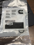 (8 PC LOT) GENUINE OEM Cummins SEAL,O RING 145527  **FREE SHIPPING**