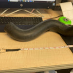 NEW HEAVY DUTY TRUCK RADIATOR HOSE CAT, JOHN DEERE... (SEE PHOTOS FOR MARKINGS)