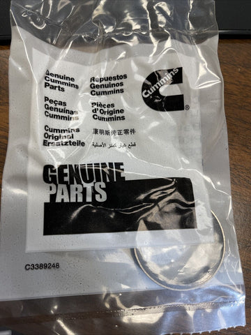 GENUINE OEM 3945250 - CUMMINS ENGINE VALVE INSERT **FREE SHIPPING**