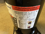 NEW CARRIER TRANSICOLD COMPRESSOR ZF19KVE-TFD-166 3 PH LOW TMP